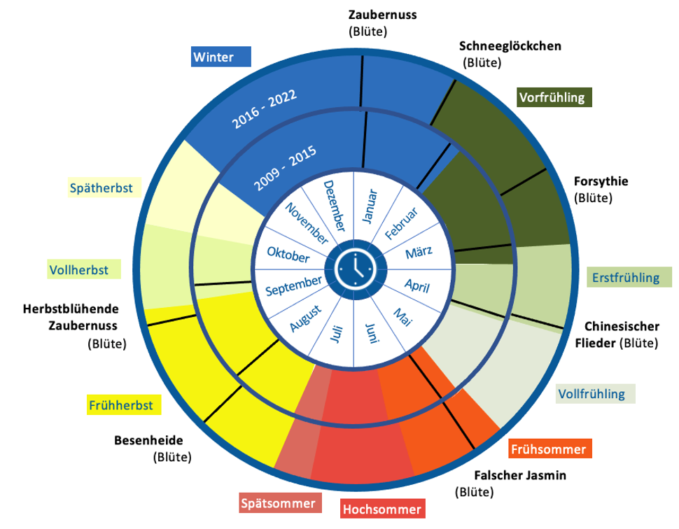 Phänologische Uhr (Lisa Engel)